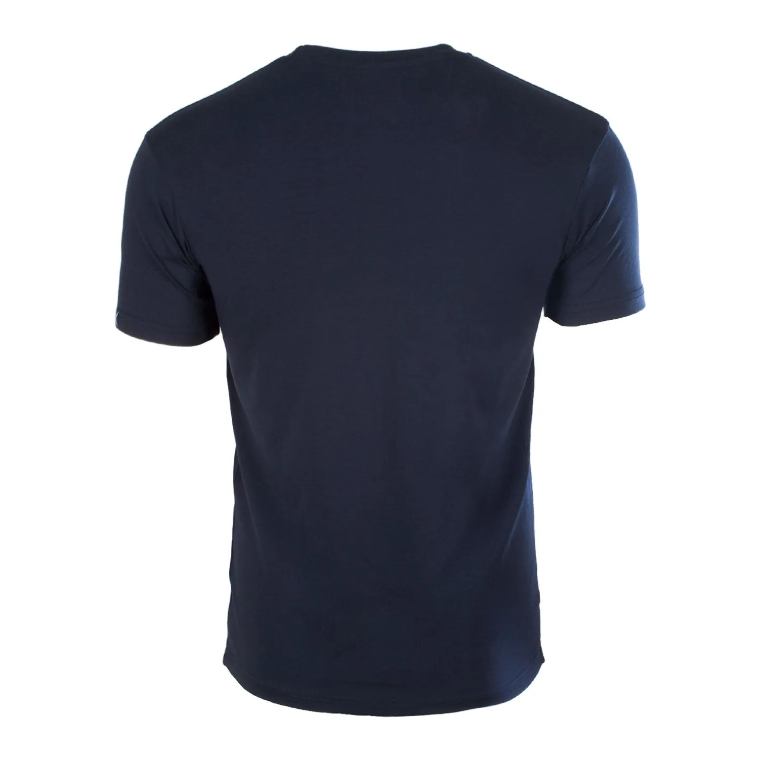 Gents Scotland Distressed Saltire Lion T-Shirt